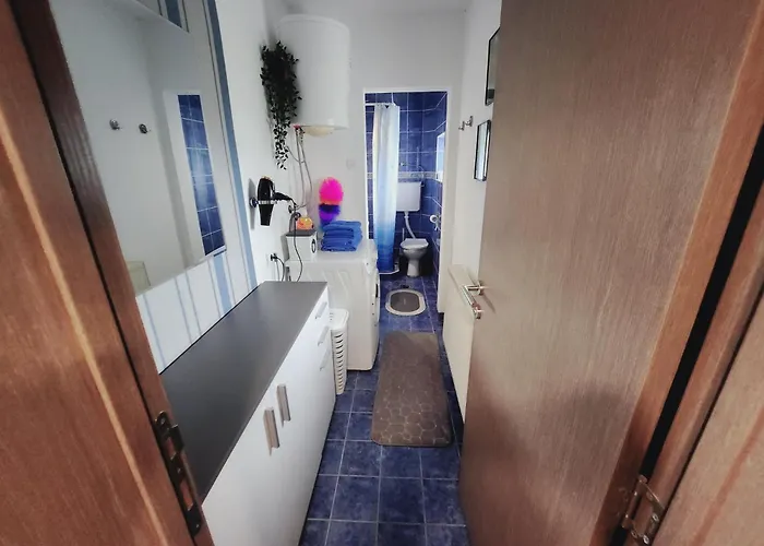 펜션 Banjanski Raj